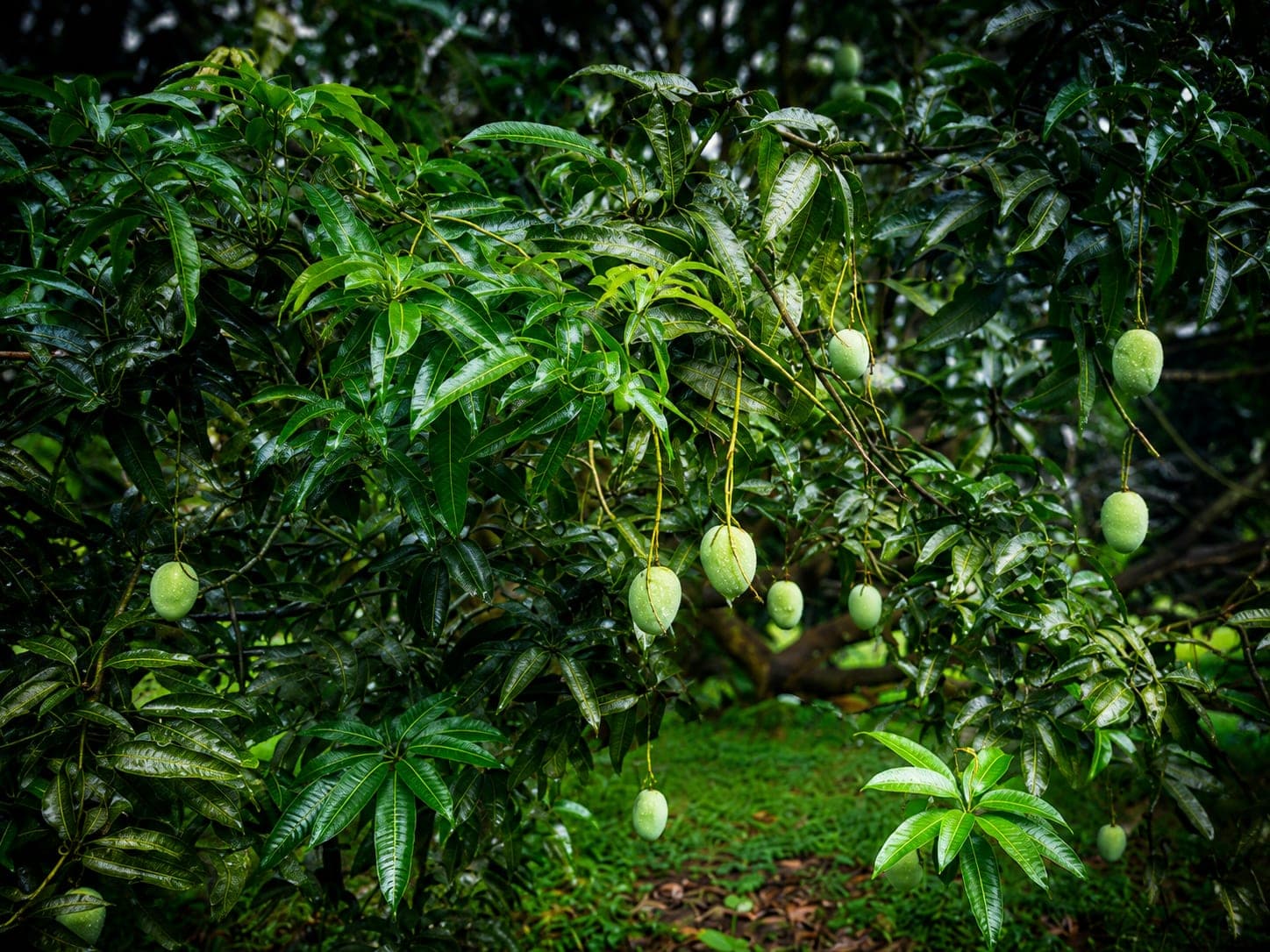 প্রোমো ব্যানার 1